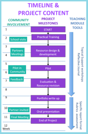 Biochemistry project timeline - community involvement, project milestones, teaching module tools